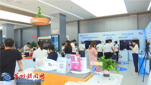 廣西電信5G信息化產品展示交流會在我市舉行，賦能金融信息咨詢新未來